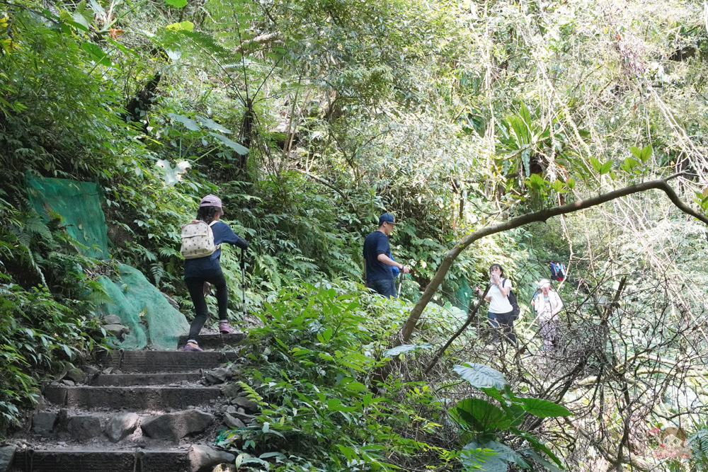 宜蘭.礁溪 臺灣的抹茶冰淇淋山，網美級小百岳仙境，挑戰聖母山莊步道，順收五峰旗瀑布