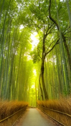 知識交流サロン
