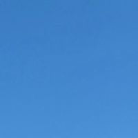 雑談ふりーる～むｯ