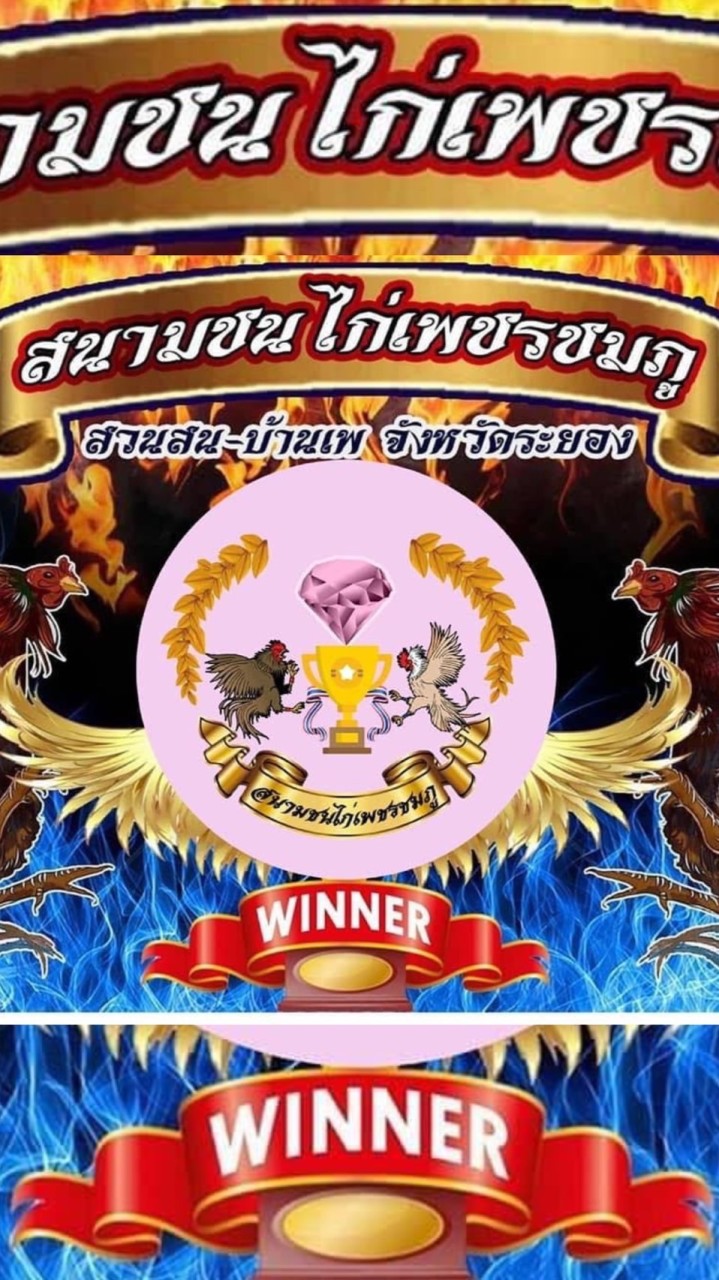 สนามชนไก่เพชรชมภูระยอง