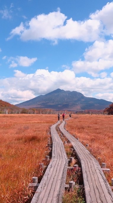 紅葉の尾瀬　日程未定