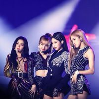 ตระกูลBLACKPINK