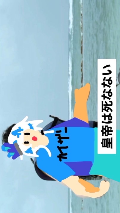 ＨＳＲ激緩カオス‼️