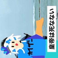 ＨＳＲ激緩カオス‼️