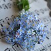 ︎︎♬︎ 音楽 スタジオ ︎︎ᕷ·͜· ︎︎ 趣味 ♬*ﾟ雑談 🌸ライブトーク 🌸