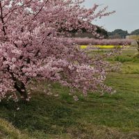 【愛知東三河、静岡西部近辺にお住いの方】バイクでツーリングしま専科？