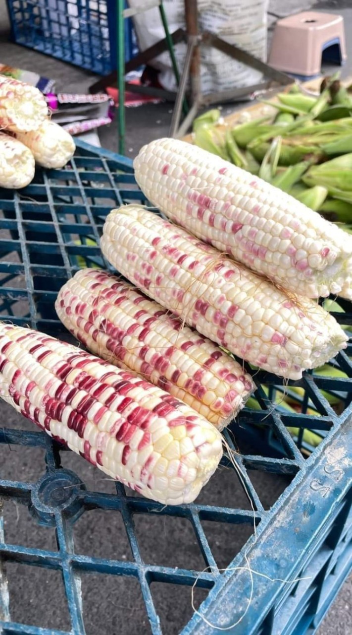 鐘家玉米🌽🌽彰化站