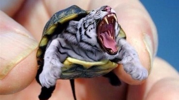 超仿真合成動物 珍奇異獸會有人想飼養？