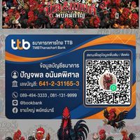 บุ๊ค&แบงค์ พยัคฆ์กาญ พัฒนาเพื่อการพนัน