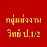 กลุ่มส่งงาน วิทย์  ป.1/2