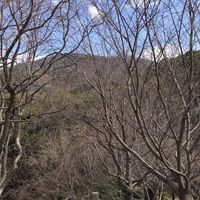 五順会友の会