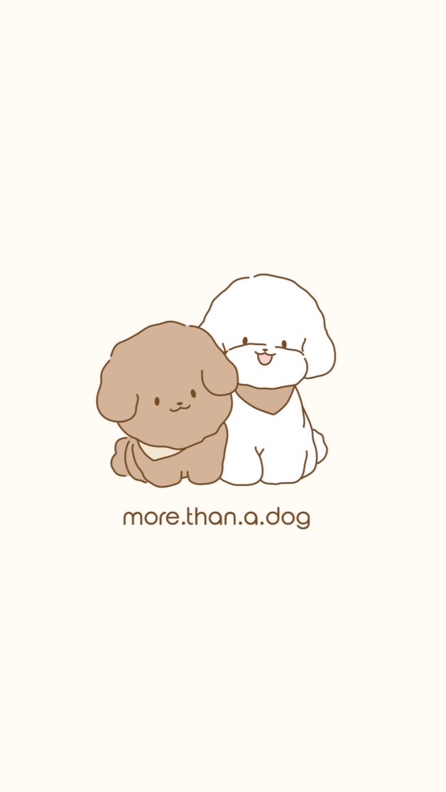 ༘♡ more.than.a.dog