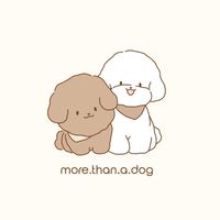 ༘♡ more.than.a.dog