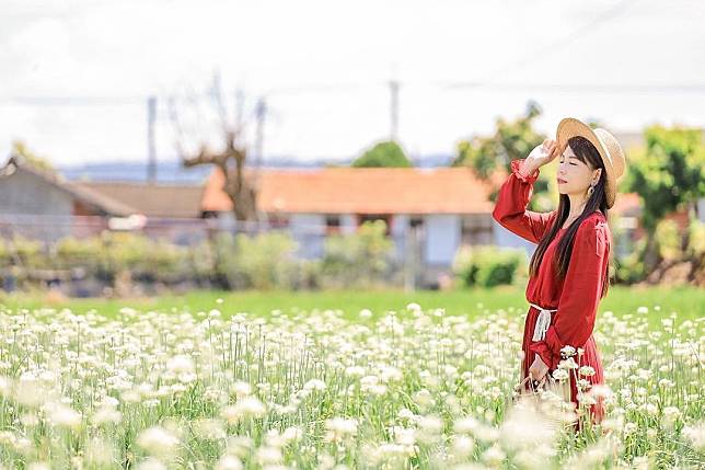 ▲彰化田中韭菜花田（圖/IG@153_mom）