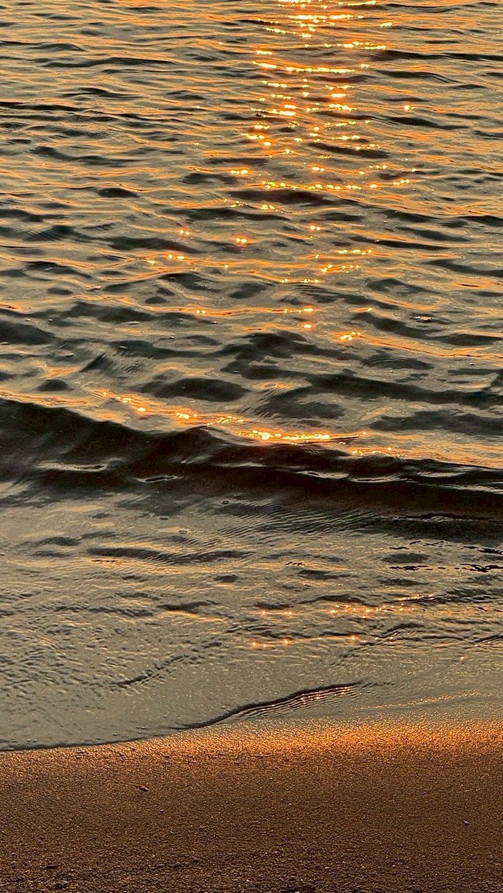 ทุนทิสโก้รายใหม่69