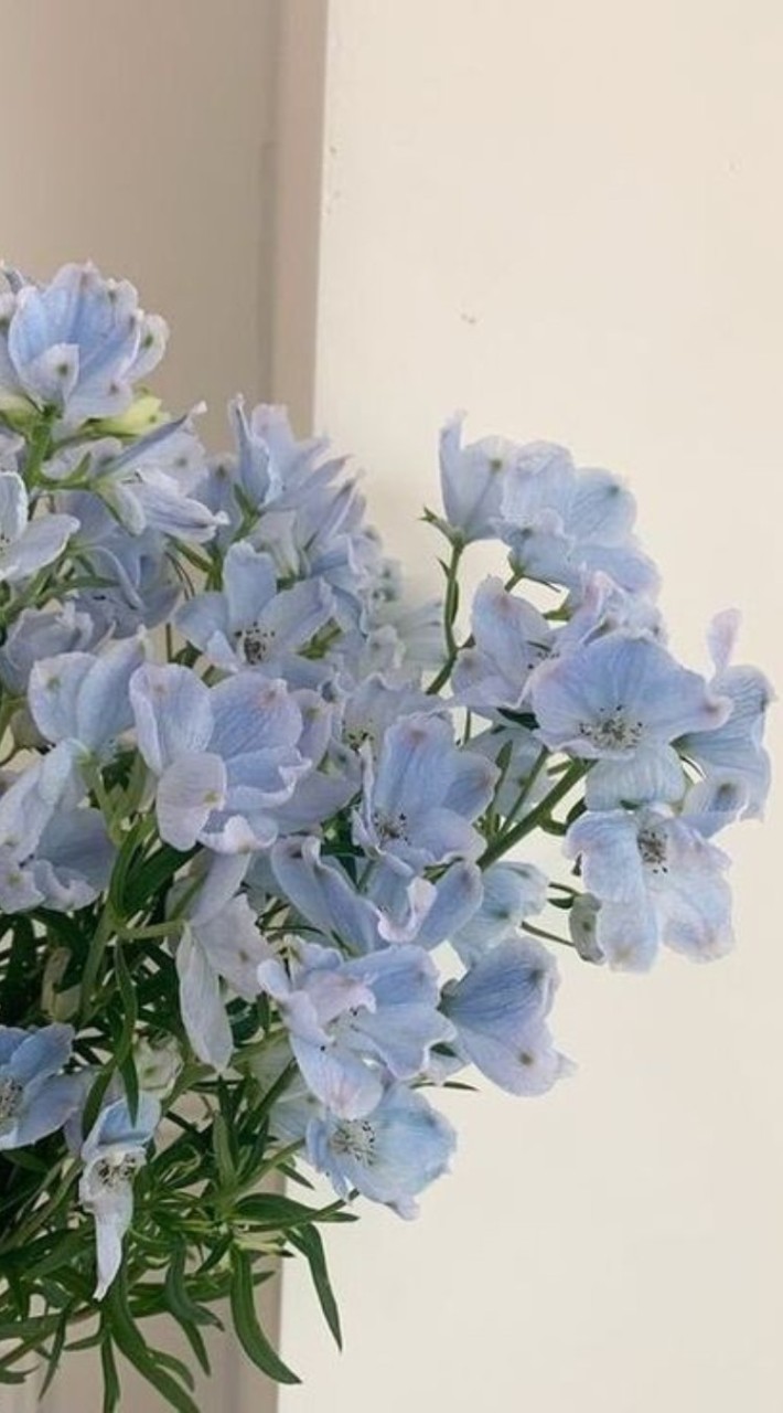 ┃ ˑ̶͙  ི จุดขายโรลเพลย์​ / ปรึกษา​ต่างๆ / ดีลต่างๆ 。 ݁𓈒𓊪 ֯ 𓈒