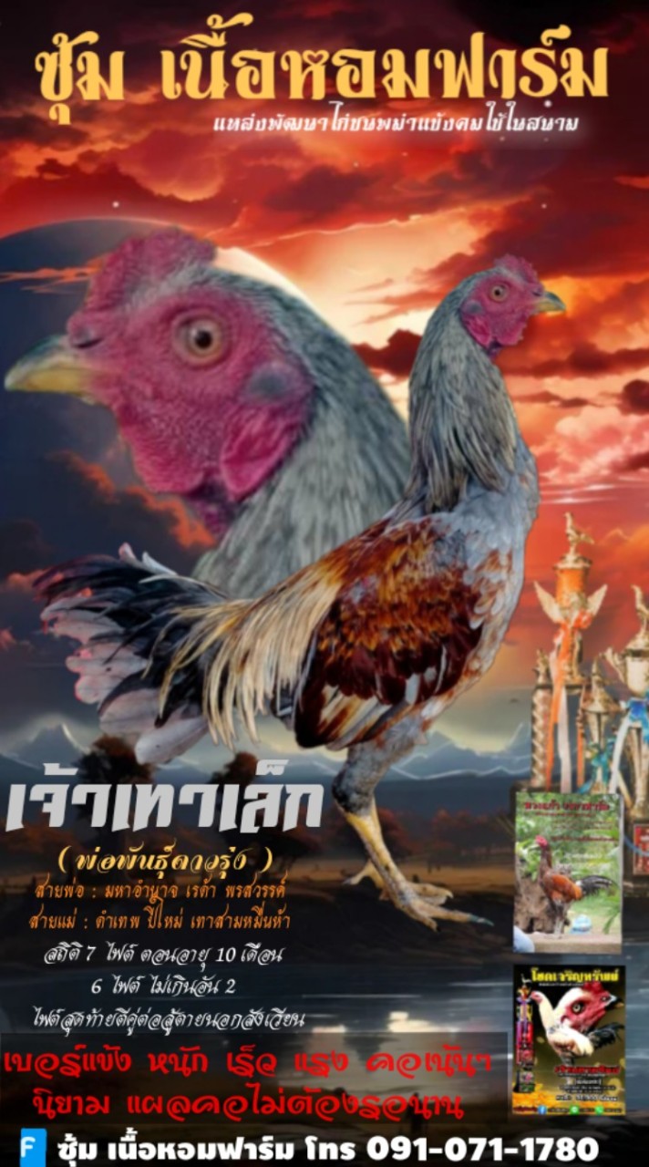 ซุ้ม เนื้อหอมฟาร์ม 🐉