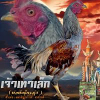 ซุ้ม เนื้อหอมฟาร์ม 🐉