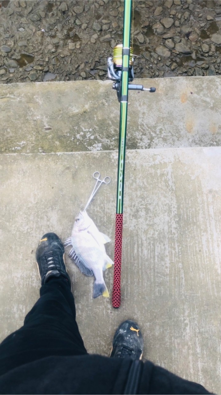 瘋釣魚投釣者遠投交流社