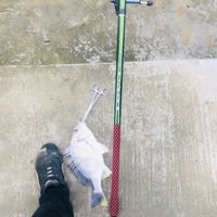 瘋釣魚投釣者遠投交流社