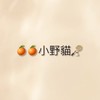 🍊橙橙小野貓🍊羽球團
