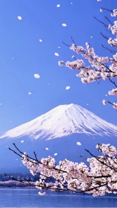 WuWenLi-Wa