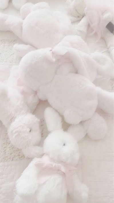 推し様への愛は誰にも負けないお姫様の同担拒否・夢女子のお部屋💞