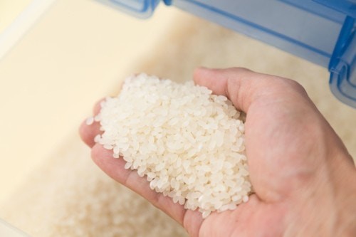 医療監修 妊娠するとおりものが増える 妊娠初期のおりものの特徴と変化