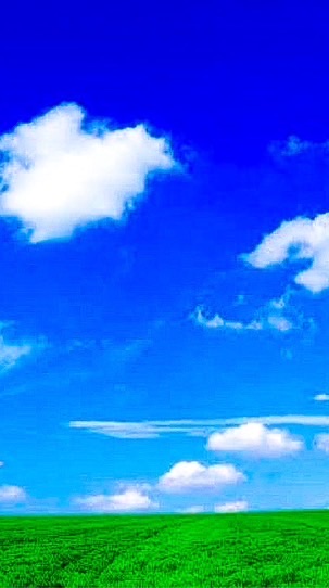 ☁️ あおい空 ☁️