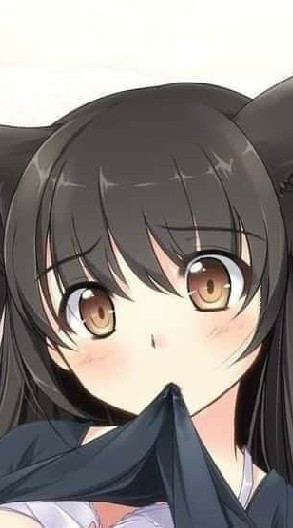 ดราก้อนบอลอินยัวเเอเรีย