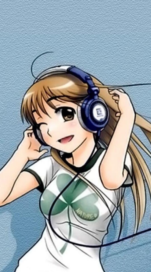 AudiophileVideophile
