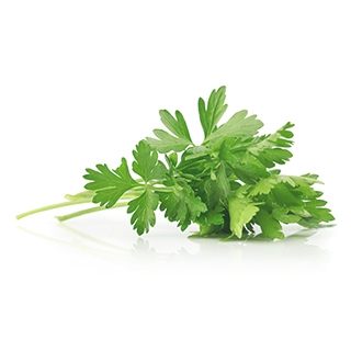 Visakha - 歐芹 Parsley Seed 單方精油 (10ml)