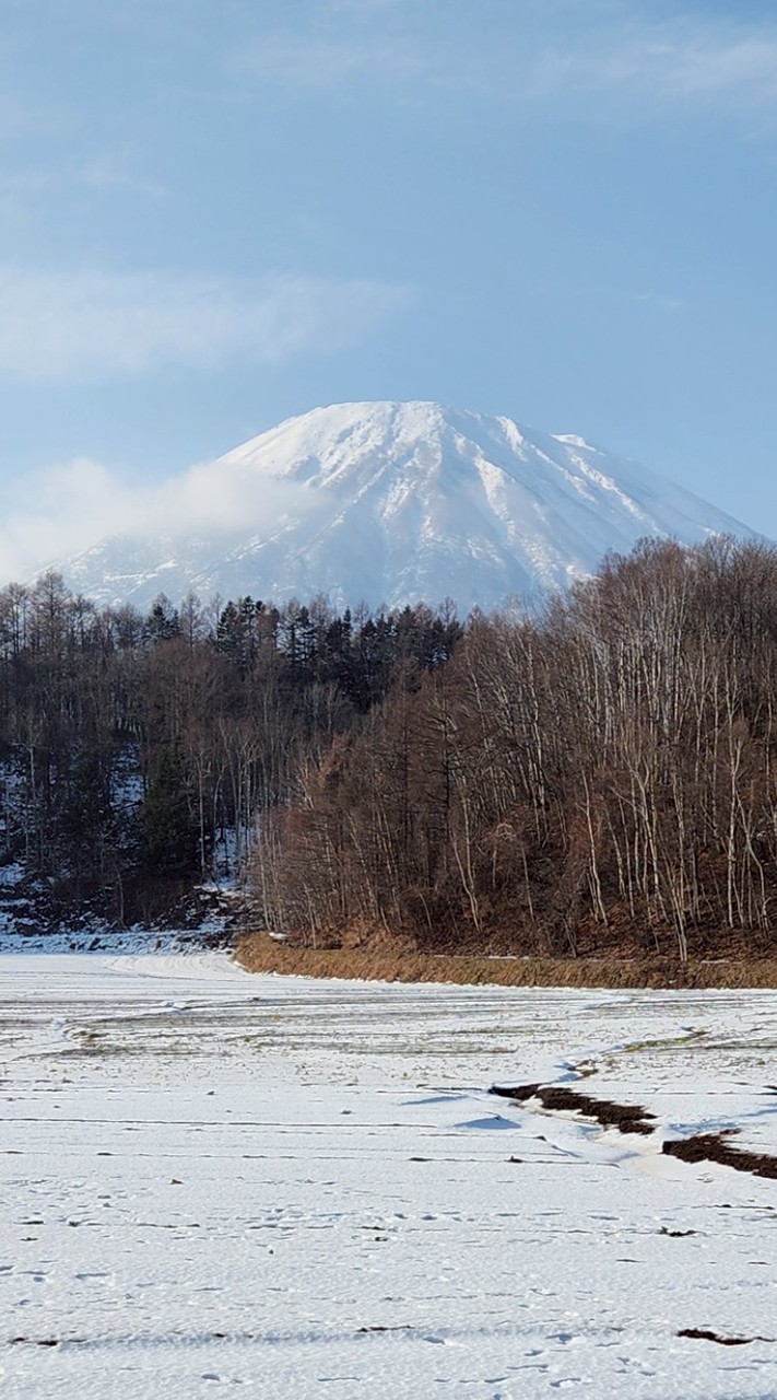 趴趴走