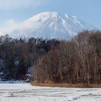 趴趴走