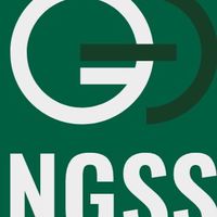 ＮＧＳＳ