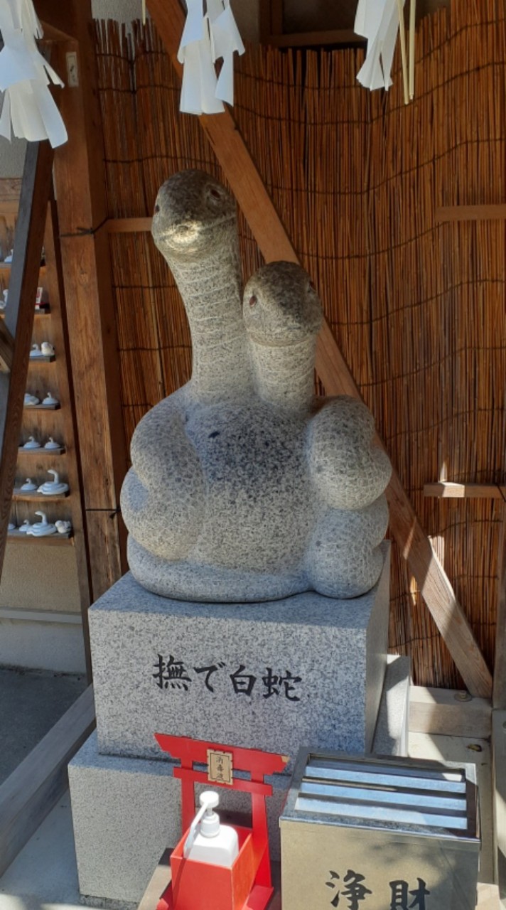 楽しく気楽に御朱印巡り　⛩️都内近郊寺社巡り&散策