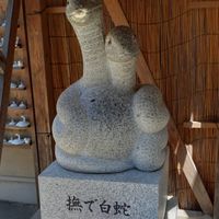 楽しく気楽に御朱印巡り　⛩️都内近郊寺社巡り&散策