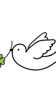 鳩ぽっぽ🕊
