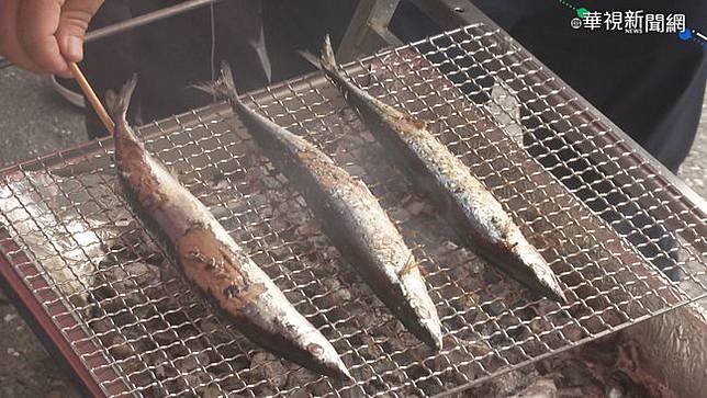 近十年來最高秋刀魚每公斤1元 華視新聞 Line Today