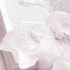 全也ハント  ໒꒱   【少数】  ✧*｡