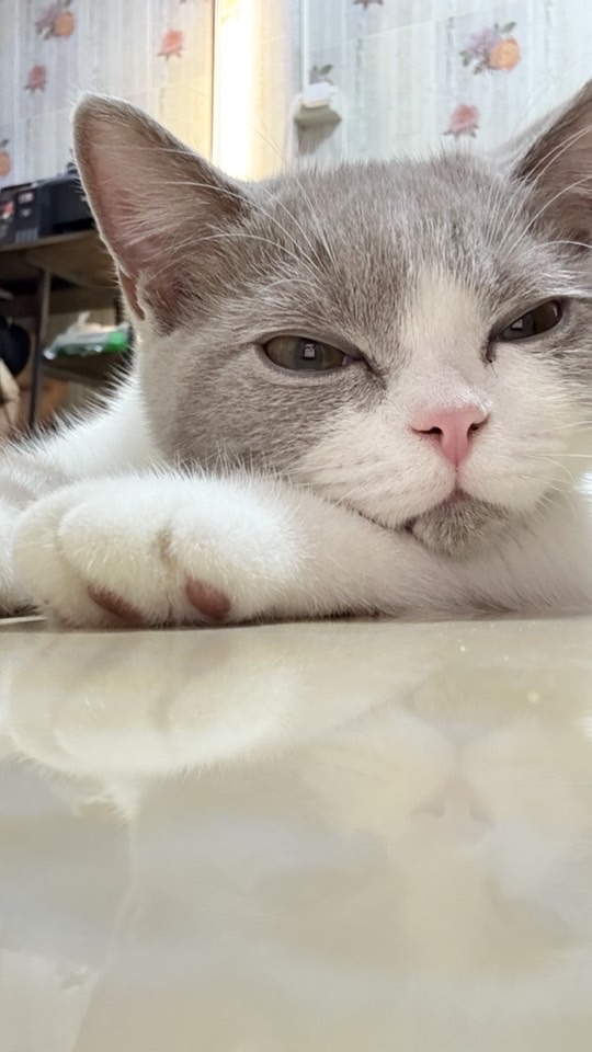 ไข่ตุ๋นจะกินเปียก