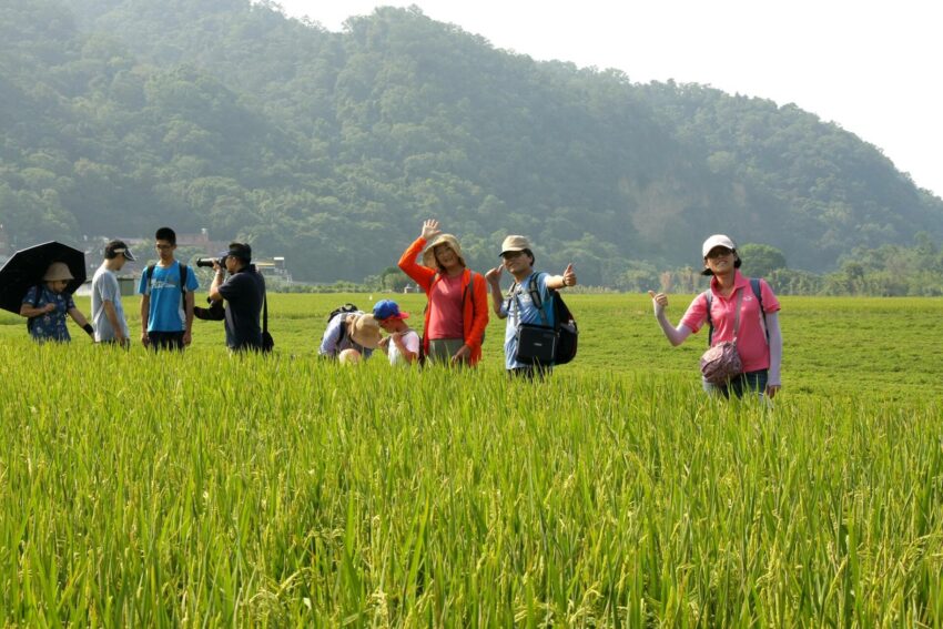 新竹民宿