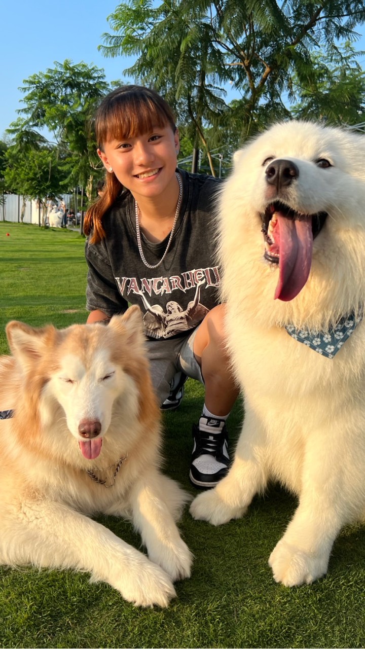 帥氣小狗🐶的雞腿們