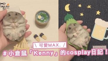 日本「Cosplay」小倉鼠Kenny就知道賣萌，一定能融化SIS你的心〜