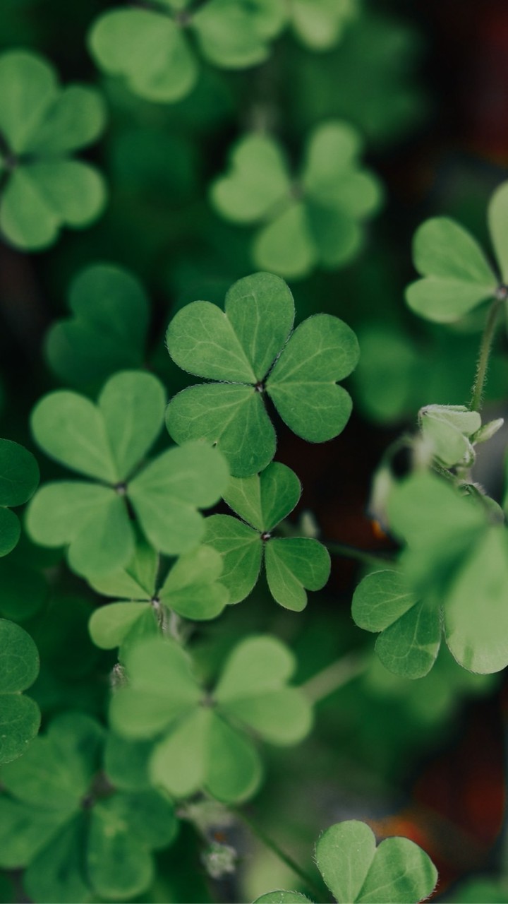 🍀KMU生物系_碩士班🍀