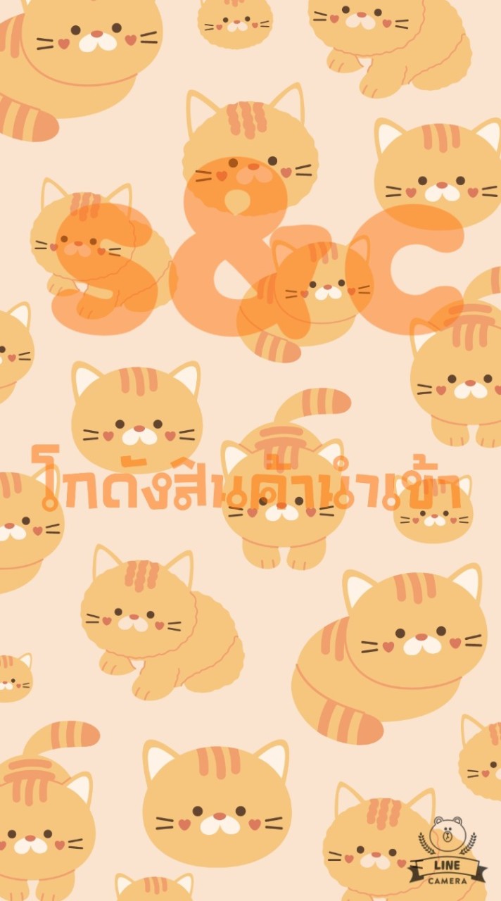 👑VIP1597.S&cโกดังสินค้านำเข้า