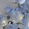 ２４３４＊声ハント