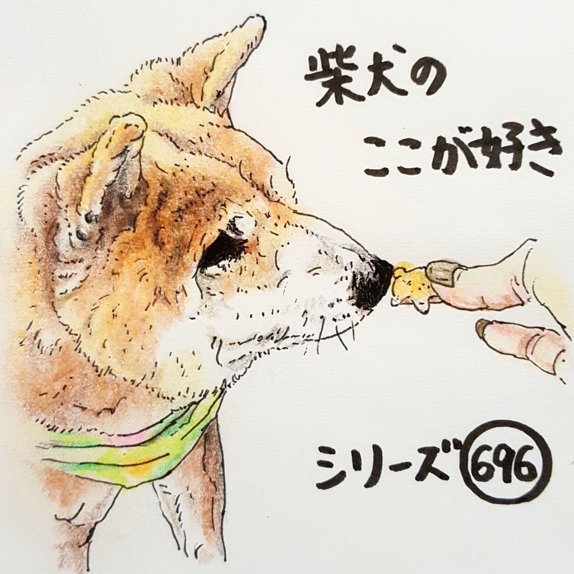 柴犬あるある クンクンチェック する時としない時