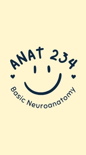 ANAT 301234 (2/2568)