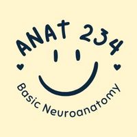 ANAT 301234 (2/2568)